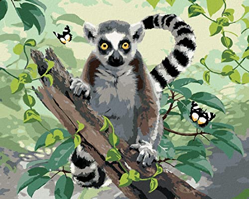 ZUTY - Malen nach Zahlen - LEMUR UND SCHMETTERLINGE (HOWARD ROBINSON), 40x50 cm ohne Keilrahmen von ZUTY