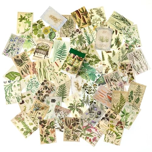 ZXMNBH Papier für Scrapbooking Kit Grünpflanzen Collage Tagebuch Planer Materialien Erwachsene Junk Journaling Decor Supplies 100 Stück/Packung von ZXMNBH