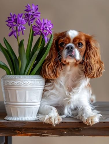 Malen Nach Zahlen Erwachsene Blume, DIY Malen Nach Zahlen Hund für Anfänger und Kinder, Bastelset Erwachsene mit Leinwand 3-Pinseln Acrylpigment für Deko Wohnzimmer Geschenk, Ohne Rahmen 50x65cm 0-8 von ZXYETTBD