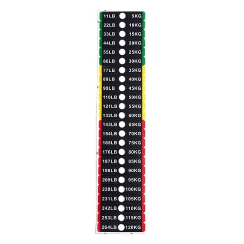 ZYNCUE Gewichts-Aufkleber-Etiketten, Gewichtsstapel-Etiketten, 5 kg - 120 kg, für Elektrogeräte, schweißresistente Fitnessgeräte-Etiketten für schnelle Erkennung von ZYNCUE