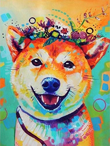 ZZZXX DIY 5D Diamant Painting Lächelndes Tier Shiba Inu 30X40Cm 5D Diamant Set Zeichnung Full Drill Kreuzstich Kunsthandwerks-Zubehör Leinwand Wanddekoration von ZZZXX