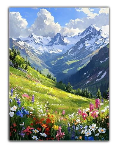 Diamond Painting Set für Erwachsene Wolken Diamond Painting Zubehör, 5D Diamond Painting Landschaft DIY Diamantmalerei Basteln Arts Kreativ Set als Geschenk für Home Dekoration, Männer 20X30CM Z6-687 von Zaafeen