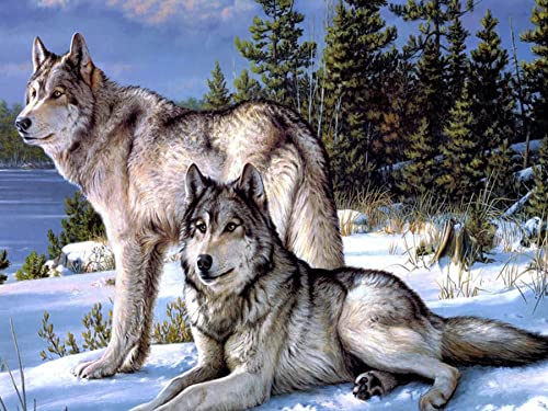 Zariocy 5D Diamond Painting Kit Animal Wolf, DIY Diamond Art Baum Weißer Wolf Adult Diamond Painting Kits Kristall Diamant-stickerei Gemälde Kunsthandwerk Für Zuhause Wanddekoration 30x40 Cm Zariocy 5D Diamond Painting Kit Animal Wolf, DIY Diamond Art Baum Weißer Wolf Adult Diamond Painting Kits Kristall Diamant-stickerei Gemälde Kunsthandwerk Für Zuhause Wanddekoration 30x40 Cm von Zariocy