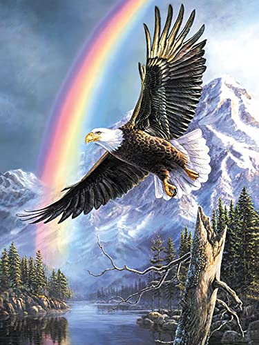 Zariocy 5D Diamond Painting kit Eagle, DIY Diamond Art Bäume Tiere Adult Diamond Painting Kits Kristall Diamant Stickerei Gemälde Kunsthandwerk für Zuhause Wanddekoration 30x40 cm von Zariocy