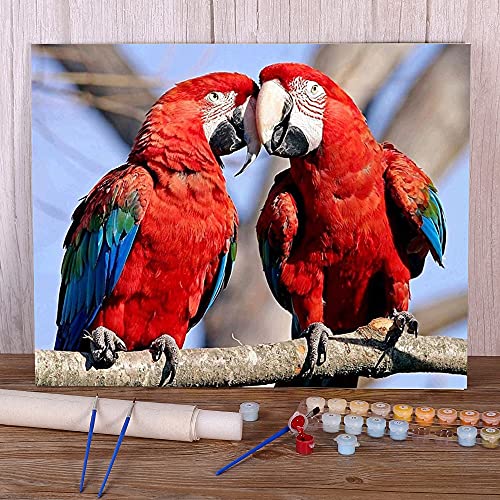 Zdklfm69 Malen nach Zahlen Ölgemälde nach Zahlen Papagei Vogel Tier Färbung Nach Zahlen Malerei Set Ölfarben Leinwand Malerei Wandbild (Kein Rahmen) 40x50cm von Zdklfm69