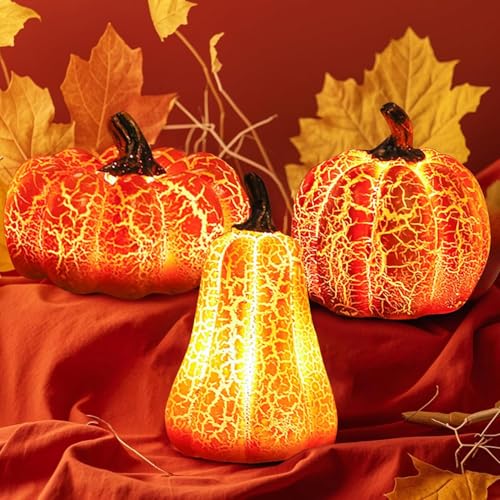 3 Stück Herbstdeko Kürbis mit LED Licht,Halloween Laternen,Halloween Kürbis Lichter,Halloween Deko Kürbis,Deko Kürbis Laterne,Herbst Deko Kürbis Laterne,Halloween Deko Outdoor Kürbis,Kürbis mit Licht von ZeiLaBang Kakadi