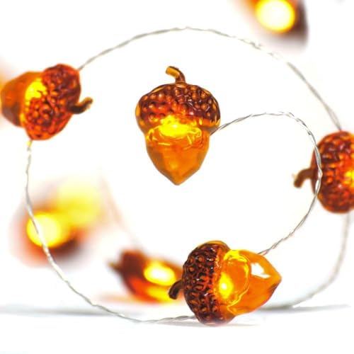 ZeiLaBang Kakadi Herbst Eichel Lichterkette,2M 20 LED Herbst Lichterketten,Deko Timerlichterkette Herbst,Outdoorlichterkette Batterie,Herbst Eichel Dekoratives Licht für Erntedankfest von ZeiLaBang Kakadi