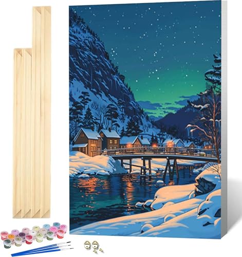 Malen Nach Zahlen Erwachsene mit Rahmen, Malen Nach Zahlen Aurora Paint by Numbers Winter Paint by Numbers Adult mit 3 Pinseln und Acrylfarben für Heim Deko, Geschenke für Frauen 50x65 cm -9299 von Zeipopge