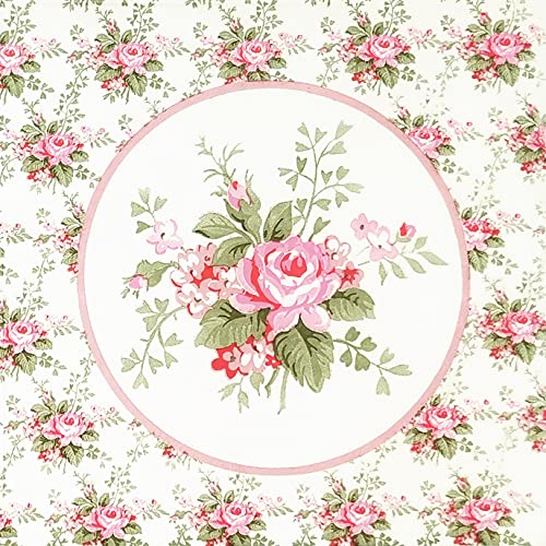 Zelten 2-Lagen 20 Count farbigen Papier Servietten Shabby Chic Servietten für Hochzeit Abendessen Tee Party Dekoration D (Rosa Rose, 1) von Zelten