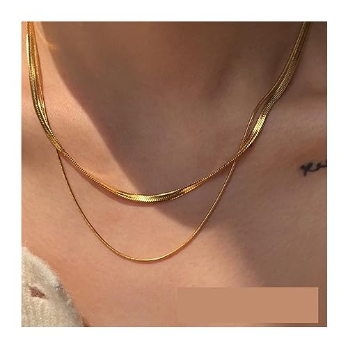 Zephyria Elegant Charm Necklace for Women, Personalisierte doppellagige Halskette for Frauen, Titanstahl, Schlangenknochenkette, Gold- und Silberhalsbandkette,Ideal for Birthdays, Anniversaries von Zephyria