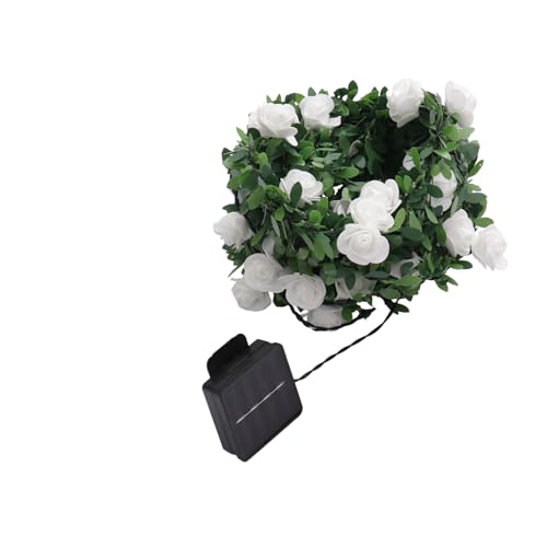 Zerodeko 3 Sätze Garten Licht für den einzug weihnachtsdeko beleuchtet innen hochzeitsdekoration Lichterketten Beleuchtung solarbetriebenes Licht grünes Blatt LED-Licht PVC Green von Zerodeko