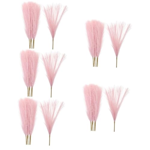 Zerodeko 5 Sätze Simulation Schilf Dekoration Hochzeitsdeko Kunstpflanze Nähgarn Pink Schilfdekore Falsche Mütter Simuliertes Schilfdekor Hochzeits-Pampas-dekor Polyester Rosa 6 Stück * 5 von Zerodeko