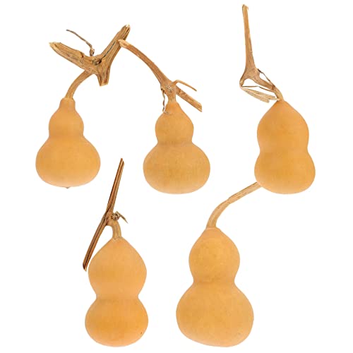 Zerodeko 5 Stücke Natürliche Kürbis Ornamente Einzigartige Artisan Handwerk Dekore Sicher Hause Herbst Dekoration Zufällig Stil Zerodeko 5 Stücke Natürliche Kürbis Ornamente Einzigartige Artisan Handwerk Dekore Sicher Hause Herbst Dekoration Zufällig Stil von Zerodeko