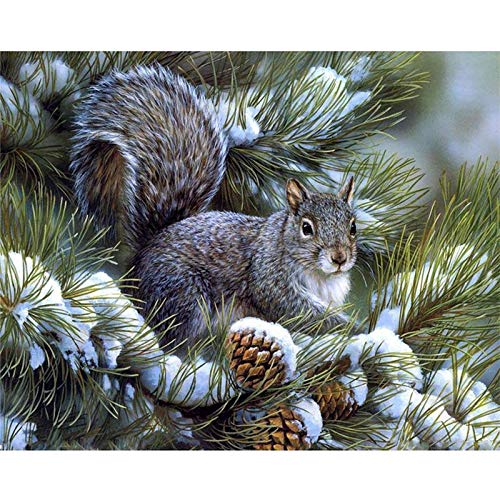 Zeyevan Diamond Painting Eichhörnchen, 5D DIY Diamant Painting Tier Kit, Diamant Malerei Strass Kristallmalerei Kreuzstich Kunsthandwerk 30x40 cm von Zeyevan