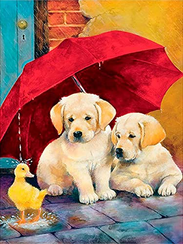 Zeyevan Diamond Painting Hund, 5D DIY Diamant Painting Tier Kit, für Home Wall Décor Diamant Malerei Strass Kristallmalerei Kreuzstich Kunsthandwerk 30x40 cm von Zeyevan