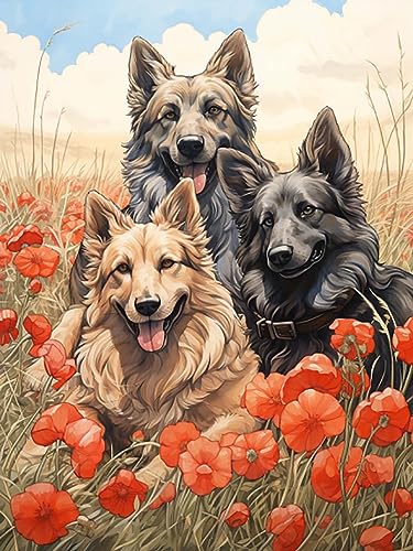 Zeyevan Diamond Painting Hund Zubehör Bilder, DIY 5D Diamant Painting Bilder Tier Kreuzstich Strass Stickerei Handwerk Für Home Office Wanddekoration 30x40cm von Zeyevan