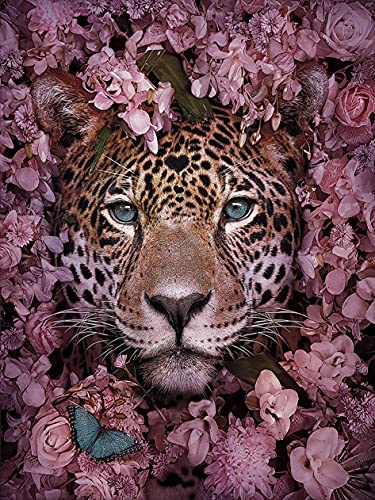 Zeyevan Diamond Painting Leopard, 5D DIY Diamant Painting Tier Kit, Diamant Malerei Strass Kristallmalerei Kreuzstich Kunsthandwerk 30x40 cm von Zeyevan