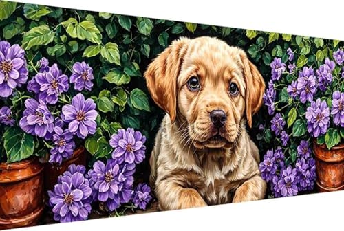 Blume Malen Nach Zahlen Erwachsene Gerahmt Hund Malen Nach Zahlen Klein 30x60cm Paint by Numbers Adult mit Acrylfarben Set und 4 Pinsel Ölgemälde Leinwand Bastelset Geschenke und Heimdekoration -25r8 von Zgcoyeo