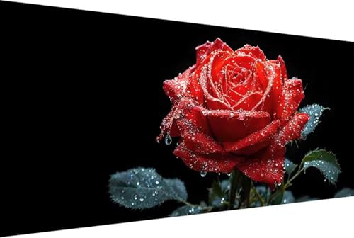 Blume Malen Nach Zahlen Erwachsene Gerahmt Rote Rose Malen Nach Zahlen XXL 100x200cm Paint by Numbers Adult mit Acrylfarben Set und 4 Pinsel Ölgemälde Leinwand Bastelset Heimdekoration Geschenke -295S von Zgcoyeo