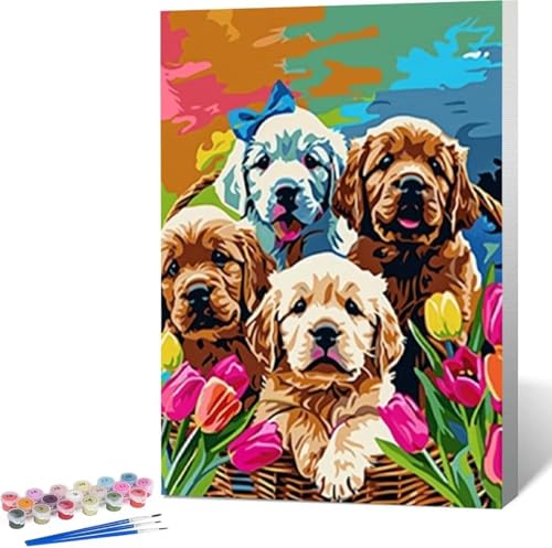 Hund Malen Nach Zahlen Tier Malen Nach Zahlen Erwachsene Rahmenlos Paint by Numbers Kit, DIY Malen Nach Zahlen Kinder mit Pinseln und Acrylfarben Painting, Geschenke und Heimdekoration 60x80 cm 7-G von Zgcoyeo