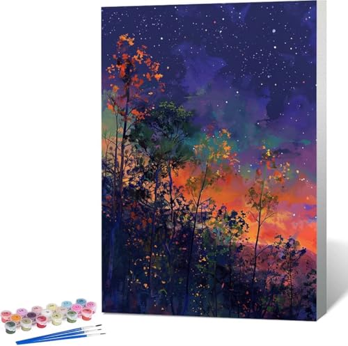 Landschaft Malen Nach Zahlen Sternenhimmel Malen Nach Zahlen Erwachsene Rahmenlos Paint by Numbers Kit, DIY Malen Nach Zahlen Kinder mit Pinseln und Acrylfarben, Heimdekoration Geschenke 30x40 cm 2-5 von Zgcoyeo