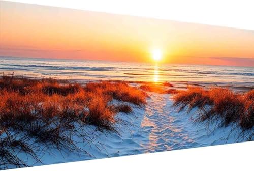 Sonnenuntergang Malen Nach Zahlen Strand Malen Nach Zahlen Erwachsene Rahmenlos Paint by Numbers, mit Pinseln und Acrylfarben Leinwand Art Kits Paint by Numbers Adult Home Haus Deko 100x200cm -4kF von Zgcoyeo