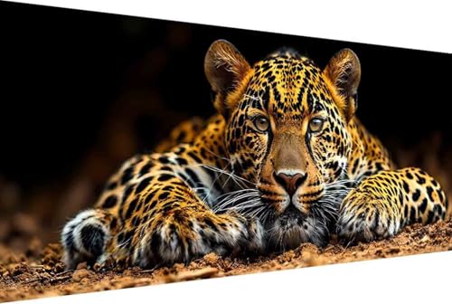 Tier Malen Nach Zahlen Erwachsene Gerahmt Leopard Malen Nach Zahlen Klein 30x60cm Paint by Numbers Adult mit Acrylfarben Set und 4 Pinsel Ölgemälde Leinwand Bastelset Heimdekoration Geschenke -70k7 von Zgcoyeo