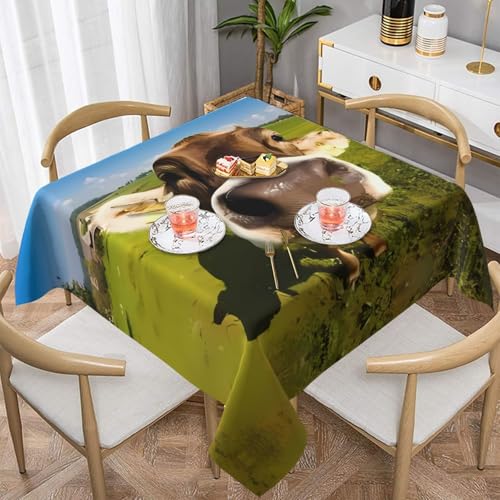 ZhaoYuGoods Dekorative Tischdecke, Drucktapete, Kuh-Tischdecke, wasserabweisend, Polyester-Tischdecke für Zuhause, Küche, Innenbereich, 152 x 152 cm von ZhaoYuGoods