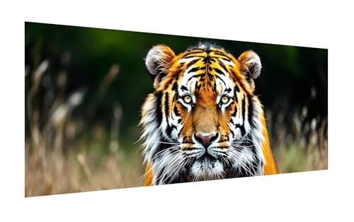 5D Diamond Painting Set 80x160cm, DIY Tiger Diamond Painting Eckige Steine Strass Cross Stickerei Kunst Kits, Diamond Painting Zubehör Set Basteln Erwachsene, Geschenk Diamond Painting Tier Z-241 von Zhlpjecc