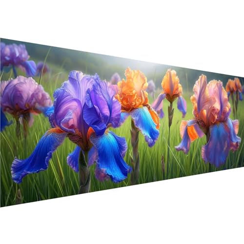 Diamond Painting Farbe Diamant Painting Bilder Blume Diamond Painting Erwachsene Bastelset, 5D Diamond Art Malerei Kinder DIY Mosaikherstellung Stickerei Set für Deko Schlafzimmer, 100x300cm y-27 von Zhngshlg