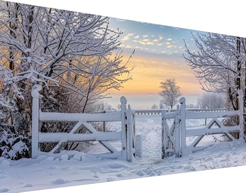 Diamond Painting Schnee Diamond Painting Bilder Kinder, Landschaft Diamond Painting Erwachsene XXL 40x80cm, DIY 5D Diamant Painting Stickerei Kreuzstich Basteln Set, Wandzimmer Deko Schlafzimmer 0-J von Zhyolei