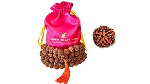 Himalaya Bio Rudraksha Mala mit größeren Größen 16-18 mm und 108 +1 Gebetsguru Perlen In hohem Himalaya Nepal aufgewachsen, ohne Chemie, Wachs- und Farbbehandlung, gut für Puja, Yoga, Meditation. von Zillion