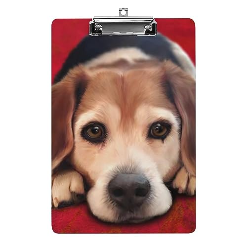 Klemmbrett A4, Beagle-Hund, Klemmbrett, Acryl-Klemmbretter für Büro, Schule von Zltegako