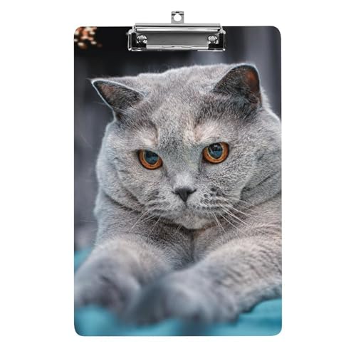 Niedliches Katzen-Acryl-Klemmbrett mit niedrigem Profil, Metallclip, Schulbedarf, Klemmbrett von Zltegako