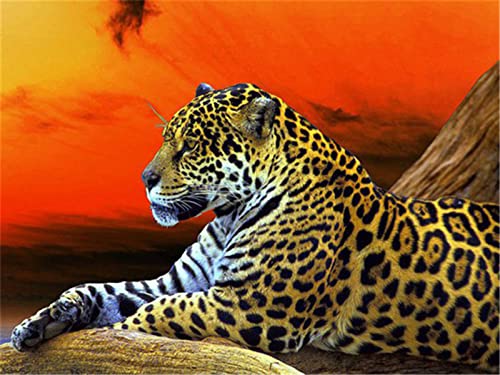 5D Diamant Painting Bilder Leopard-Sonnenuntergang-Tier 40x50cm Diamond Painting Erwachsene DIY Diamant Vollbild，DIY Diamant Crystal Arts Craft Cross Stickerei Malerei Kits Home Wand Décor Geschenk von Znnhtyj