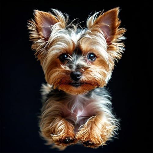 Yorkshire Terrier Diamond Painting Set für Erwachsene DIY 5D Diamond Painting Bilder Malen nach Zahlen Diamant Anfänger Kinder DIY Cross Stickerei Malerei For Home Wall Decor Gift Hund 30x30cm von Znnhtyj