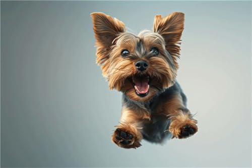 Znnhtyj Diamond Painting Set für Erwachsene DIY 5D Diamant Painting Bilder Yorkshire-Terrier Malen nach Zahlen Diamant Anfänger Kinder DIY Cross Stickerei Malerei For Home Wall Decor Gift 50x70cm von Znnhtyj