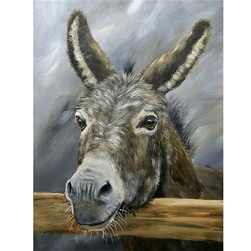 Znnyaak 5D Diamond Painting Bilder Vollbohrer Tierischer Esel 30x40cm Diamant Malerei für Erwachsene Kinder Kunsthandwerk Stickerei Malerei Diamant Painting nach Anzahl Kreuzstich für Home Wand Decor von Znnyaak