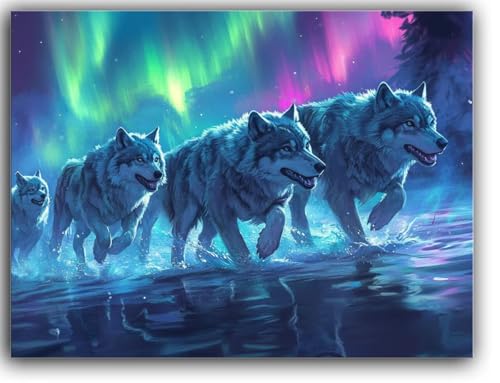 Wolf Malen nach Zahlen Erwachsene, Malen Nach Zahlen Aurora Malen Nach Zahlen mit Rahmen Leinwand 20X30CM, DIY Handgemalt Ölgemälde Kit für Anfänger mit Pinsel und Acrylfarben, Geschenke für Frauen von Zsoxooll