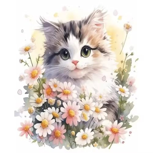 Malen nach Zahlen Kits Blume, DIY Handgemalt Ölgemälde Kit für Kinder Anfänger und Erwachsene, Katze Tier Digitales DIY Ölgemälde Set mit Pinseln und Acrylfarbe, DIY Rahmen 40x50 cm von Zuooyi