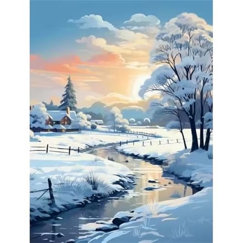 Malen nach Zahlen Kits Landschaft Schnee, DIY Handgemalt Ölgemälde Kit für Kinder Anfänger und Erwachsene, Winter Digitales DIY Ölgemälde Set mit Pinseln und Acrylfarbe, DIY Rahmen 50x65 cm von Zuooyi