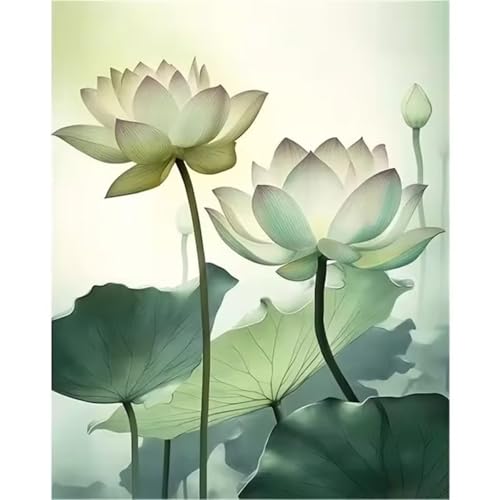 Malen nach Zahlen Kits Lotus, DIY Handgemalt Ölgemälde Kit für Kinder Anfänger und Erwachsene, Anlage Digitales DIY Ölgemälde Set mit Pinseln und Acrylfarbe, Ohne Rahmen 30x40 cm von Zuooyi