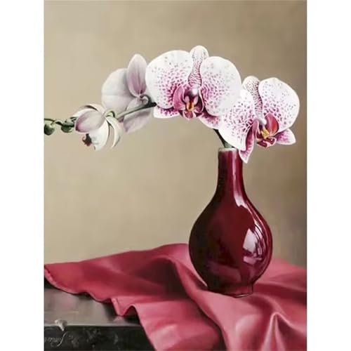 Malen nach Zahlen Kits Phalaenopsis-Blume, DIY Handgemalt Ölgemälde Kit für Kinder Anfänger und Erwachsene, Vase Digitales DIY Ölgemälde Set mit Pinseln und Acrylfarbe, Ohne Rahmen 30x40 cm von Zuooyi