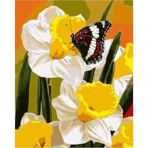 Malen nach Zahlen Kits Schmetterling, DIY Handgemalt Ölgemälde Kit für Kinder Anfänger und Erwachsene, Weiße Blumen Digitales DIY Ölgemälde Set mit Pinseln und Acrylfarbe, Ohne Rahmen 55x70 cm von Zuooyi