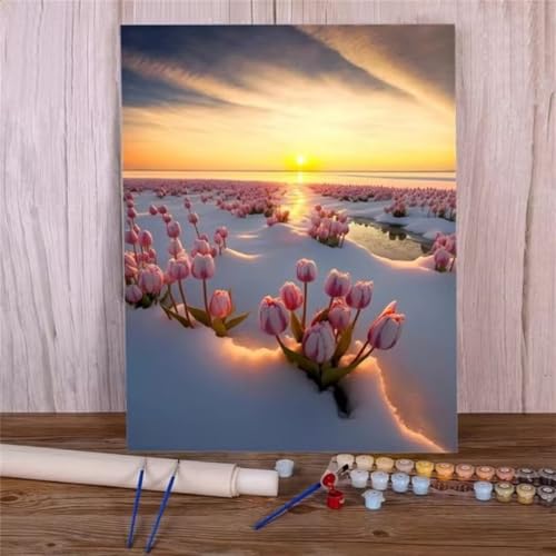 Malen nach Zahlen Kits Schneeblume, DIY Handgemalt Ölgemälde Kit für Kinder Anfänger und Erwachsene, Sonnenaufgang Digitales DIY Ölgemälde Set mit Pinseln und Acrylfarbe, Ohne Rahmen 30x40 cm von Zuooyi