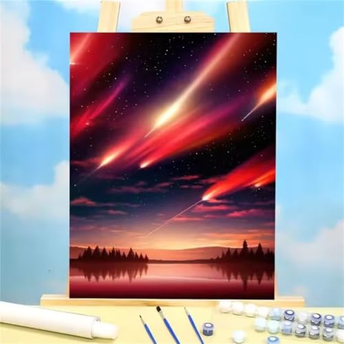 Malen nach Zahlen Kits Sternenhimmel, DIY Handgemalt Ölgemälde Kit für Kinder Anfänger und Erwachsene, Landschaft Digitales DIY Ölgemälde Set mit Pinseln und Acrylfarbe, DIY Rahmen 55x70 cm von Zuooyi