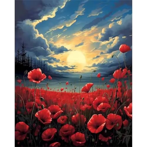 Rote Blumen Malen Nach Zahlen für Erwachsene Anfänger, Sonnenaufgang Malen nach Zahlen Kits, DIY Handgemalt öLgemäLde Kit, mit Pinsels und Acrylfarbe, Ohne Rahmen 40x50 cm von Zuooyi