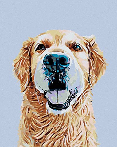 Zuty 1441221, Malen nach Zahlen-Goldener Retriever 40x50 cm mit Keilrahmen (bereits gespannt) von Zuty