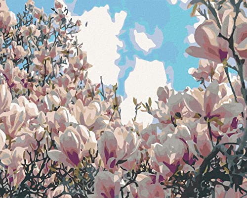 Zuty 2118232, Malen nach Zahlen-BLÜHENDE Magnolie 80x100 cm ohne Keilrahmen von Zuty