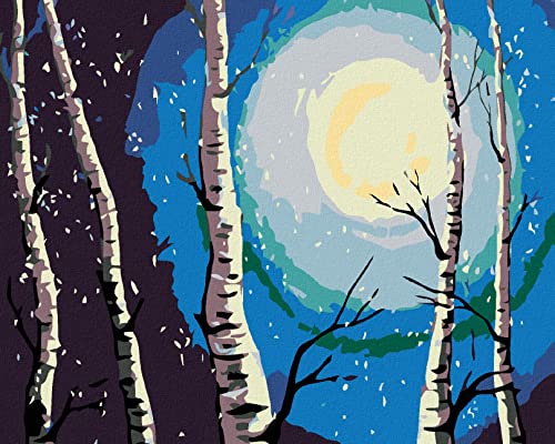 Zuty 624160, Malen nach Zahlen-BIRKEN, MOND UND FALLENDER Schnee 40x50 cm ohne Keilrahmen von Zuty